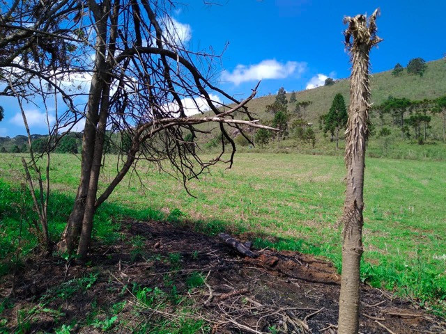Sítio Terreno - Foto 11