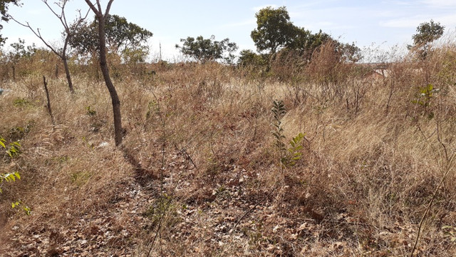 Terrenos - Foto 13