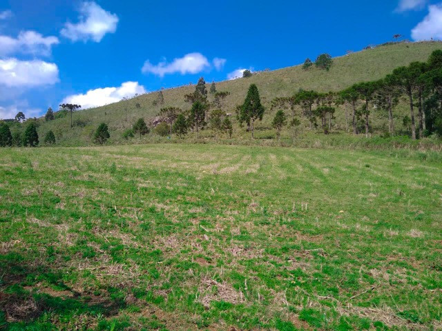 Sítio Terreno - Foto 6