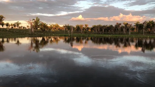 Vende-se Excelente Chácara!
