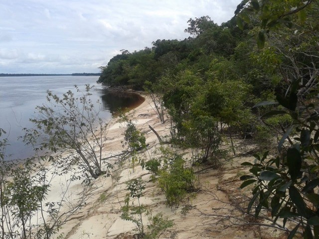 Terreno em Barcelos - Foto 3