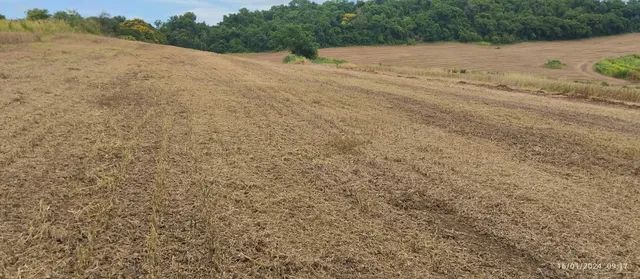 Fazenda 57 alqueiro  1+5 pagamento - Foto 2
