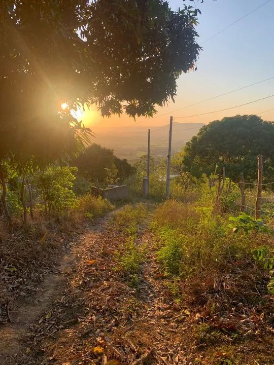 foto - União dos Palmares - 