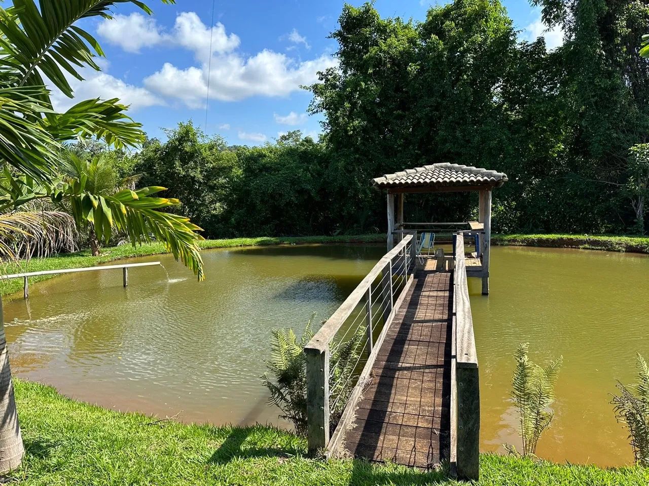 Fazenda em Goianápolis px de Goiânia e Anápolis  - Foto 4