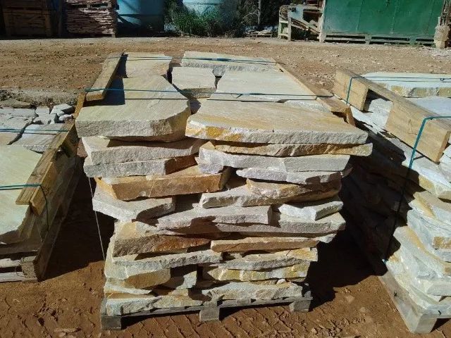 Cacão Para Jardins - Cacão São Tomé Legitima -  - Foto 2