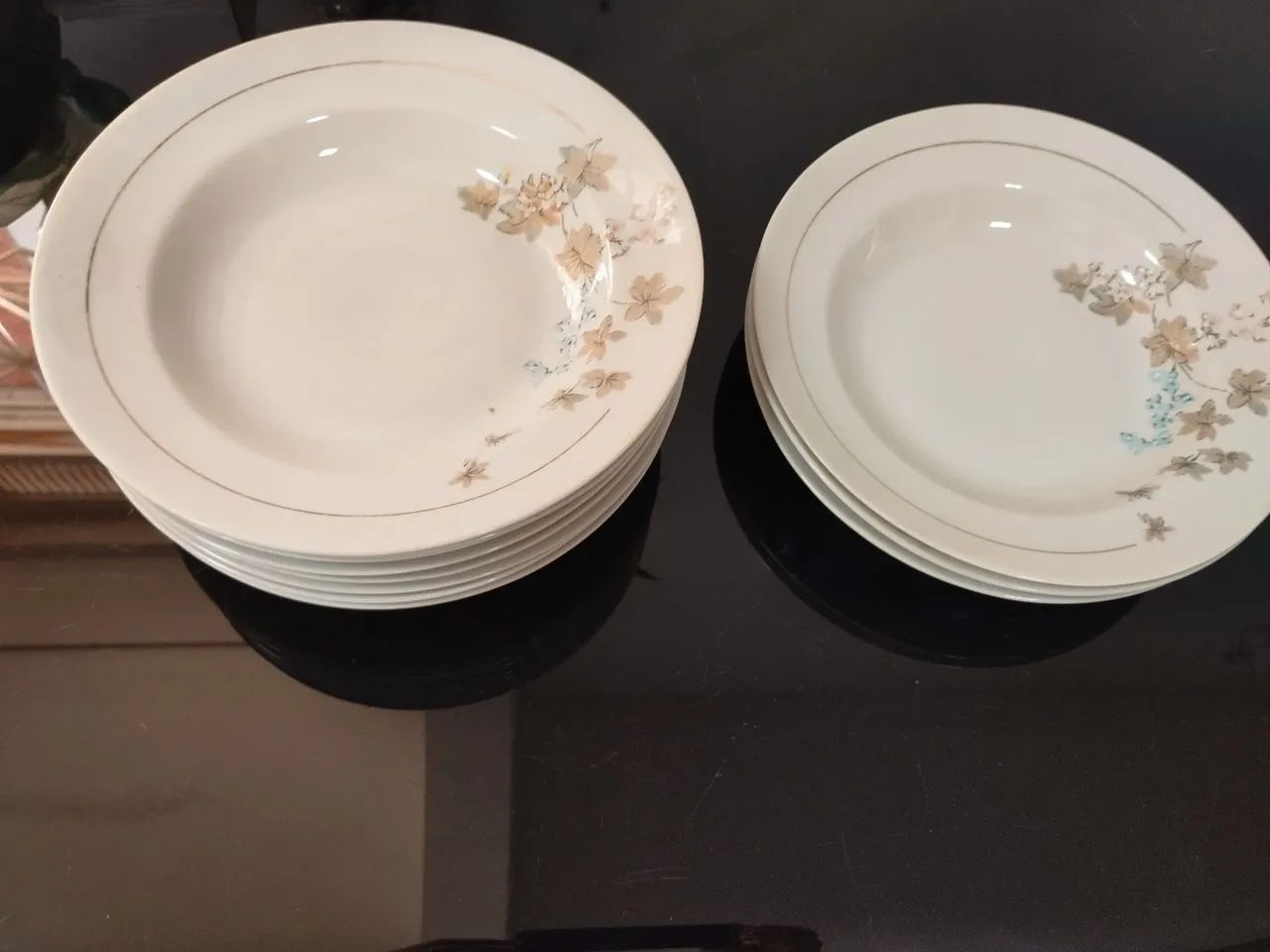 Pratos PORCELANA POLOVI GERMER (11 pratos) - Foto 4