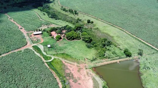 37 alqueirão - Cana - 65 ton - Foto 2
