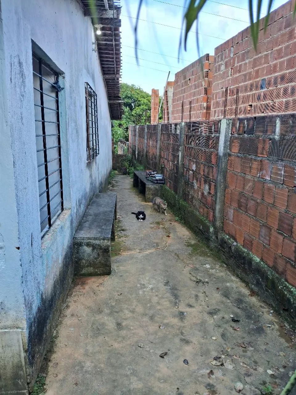 Vende se 2 casas + 1 terreno  - Foto 3