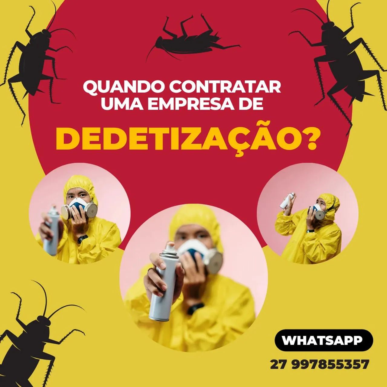 Dedetização 