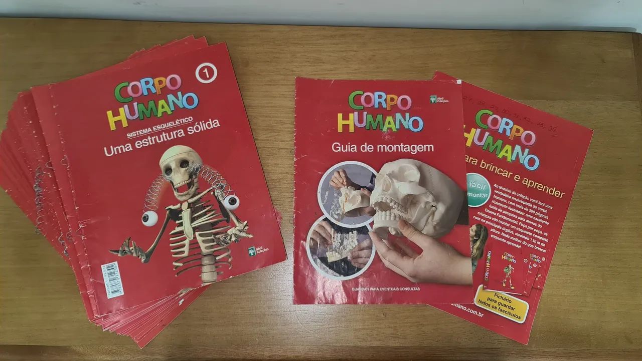Coleção incompleta Corpo Humano - Brinquedo educativo - Foto 3