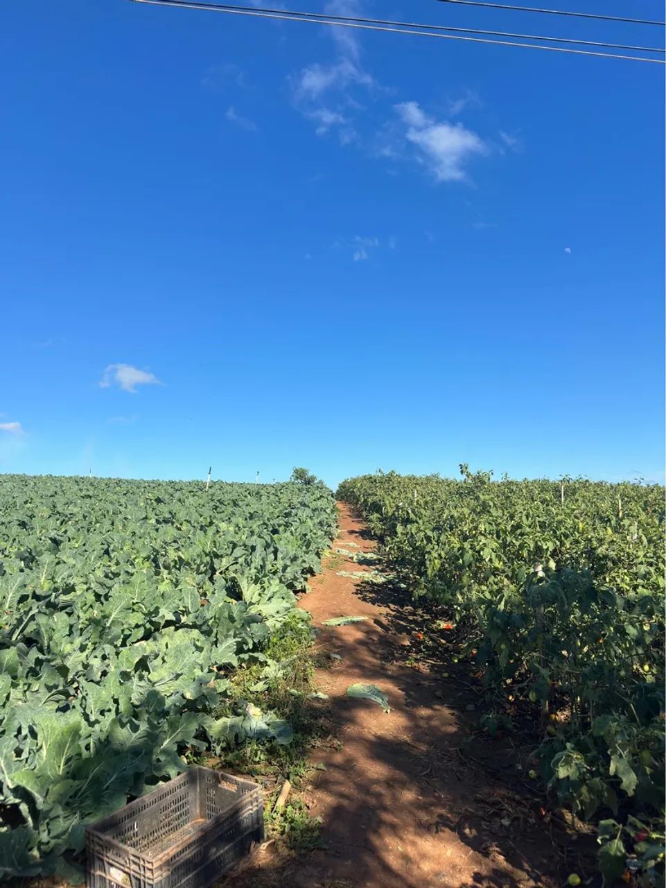 10 mil de entrada restante em até 50x s/Juros | Chácaras 1000m² em Rio Manso - Foto 2