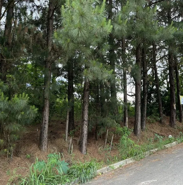 Terrenão à Venda com 1.260 m² no Jardim Cíntia Mara - Almirante Tamandaré/PR