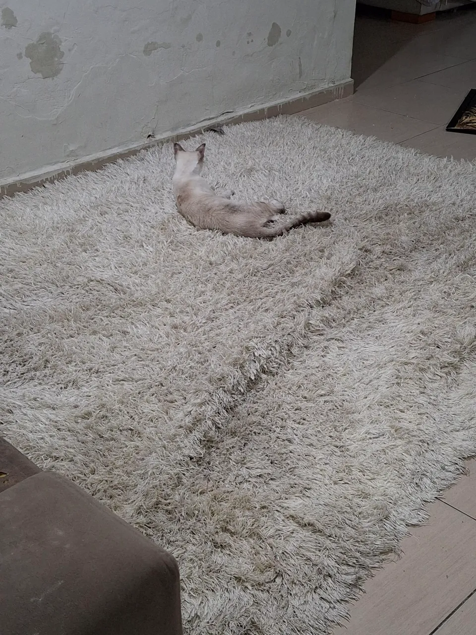 Tapete Grande Branco 