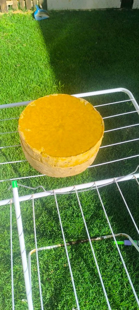 Cera de abelha para apicultura