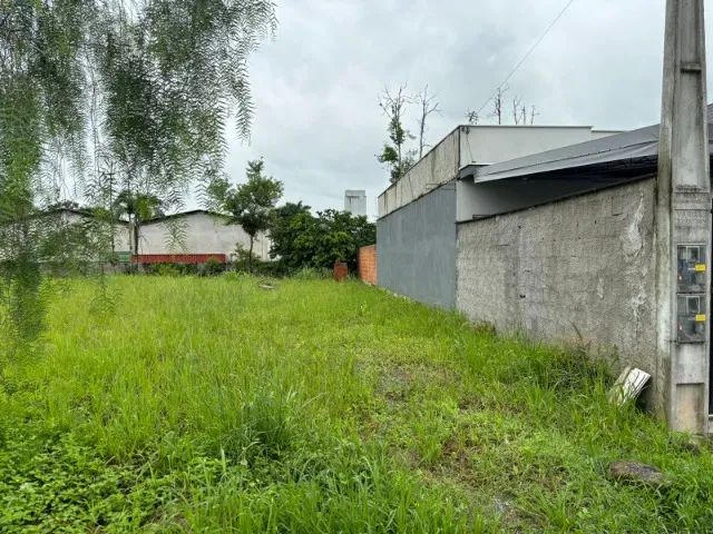 TERRENO À VENDA EM PIRABEIRABA - JOINVILLE/SC  - Foto 3