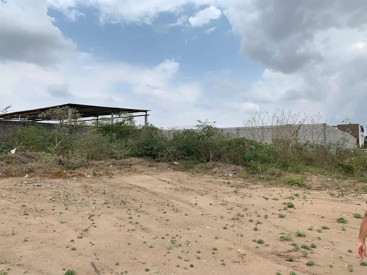 Terreno 1.000m²  Próx. a Avenida Fraga Maia, Mangabeira - Feira de Santana - BA - Foto 5