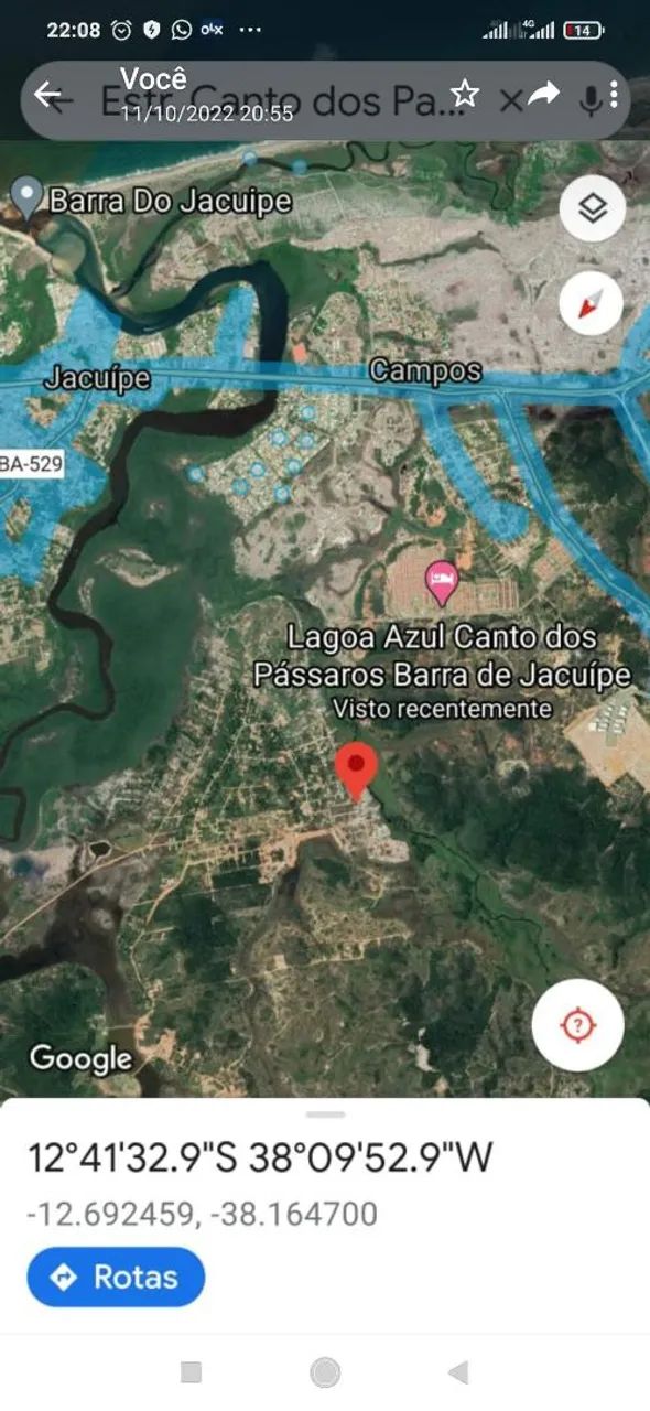 Foto - Salvador - Pau da Lima