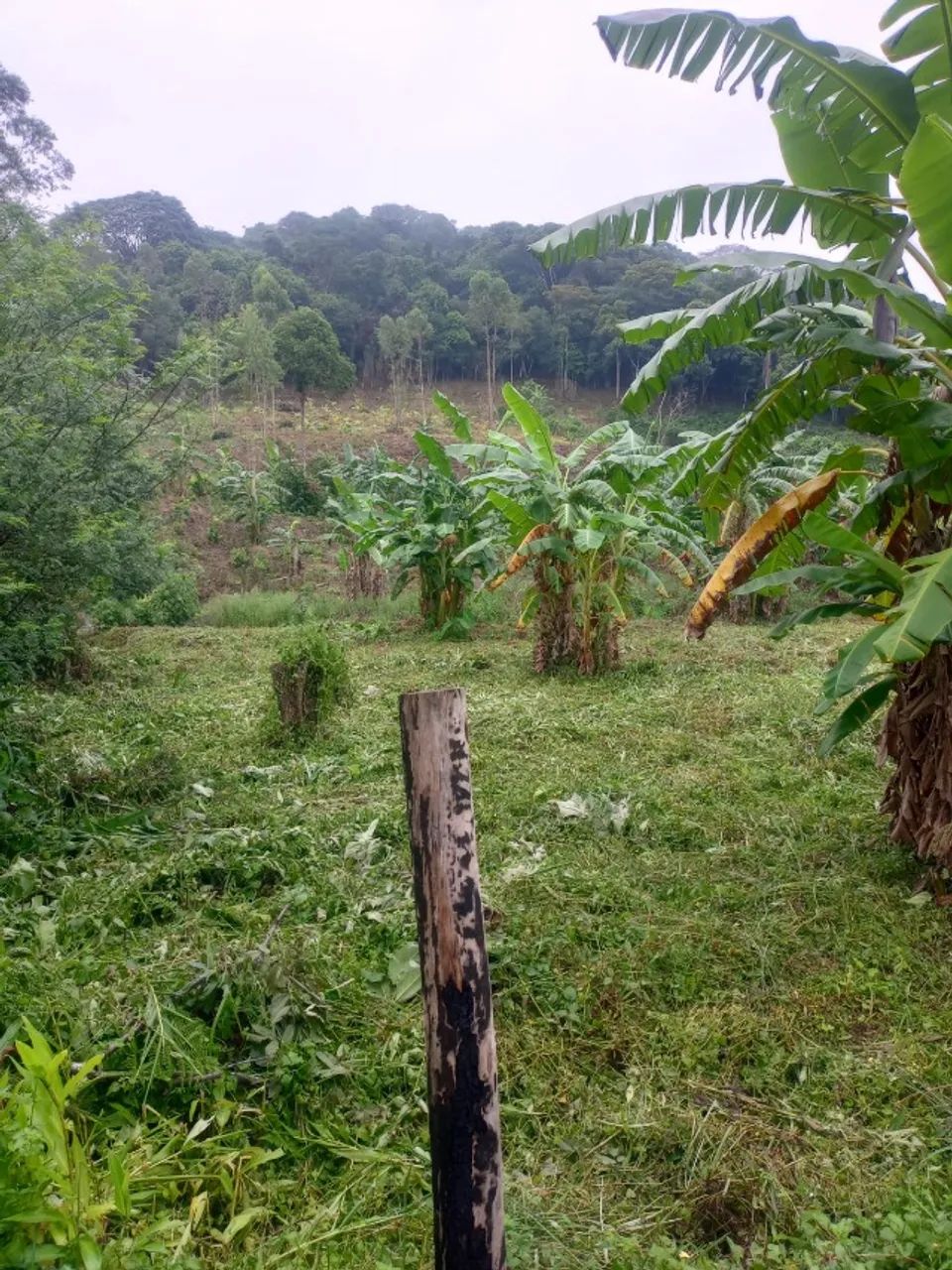 Terreno medindo dois hectares na zona rural de Cachoeiras de Macacu - Foto 5