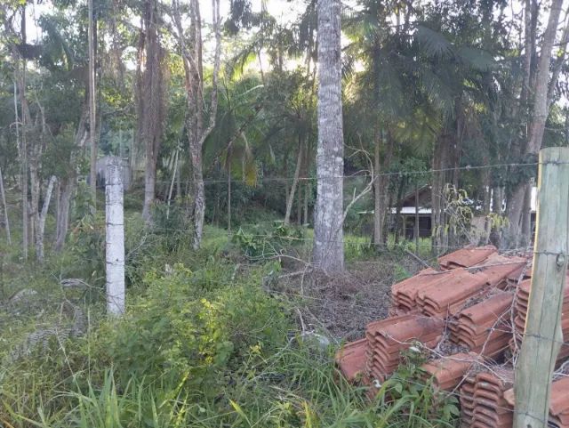 Lindo terreno plano e pronto para Chácara - Foto 4