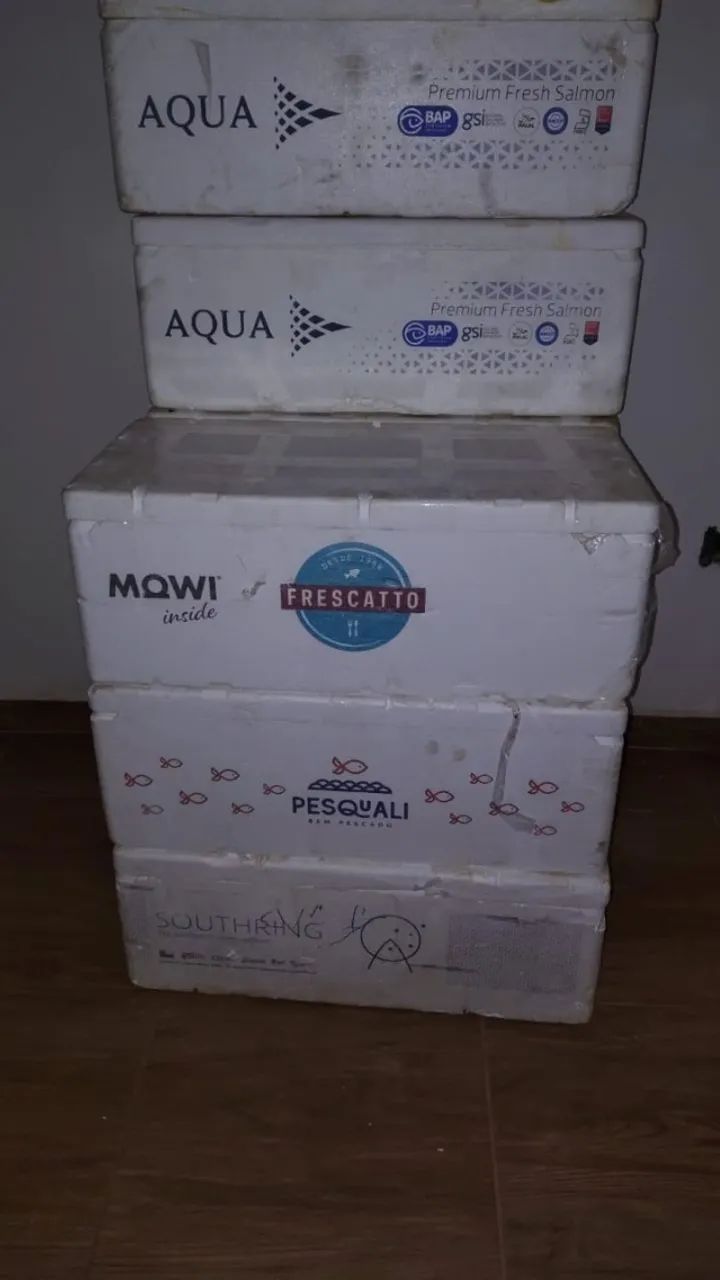 Caixa isopor64221280222466121