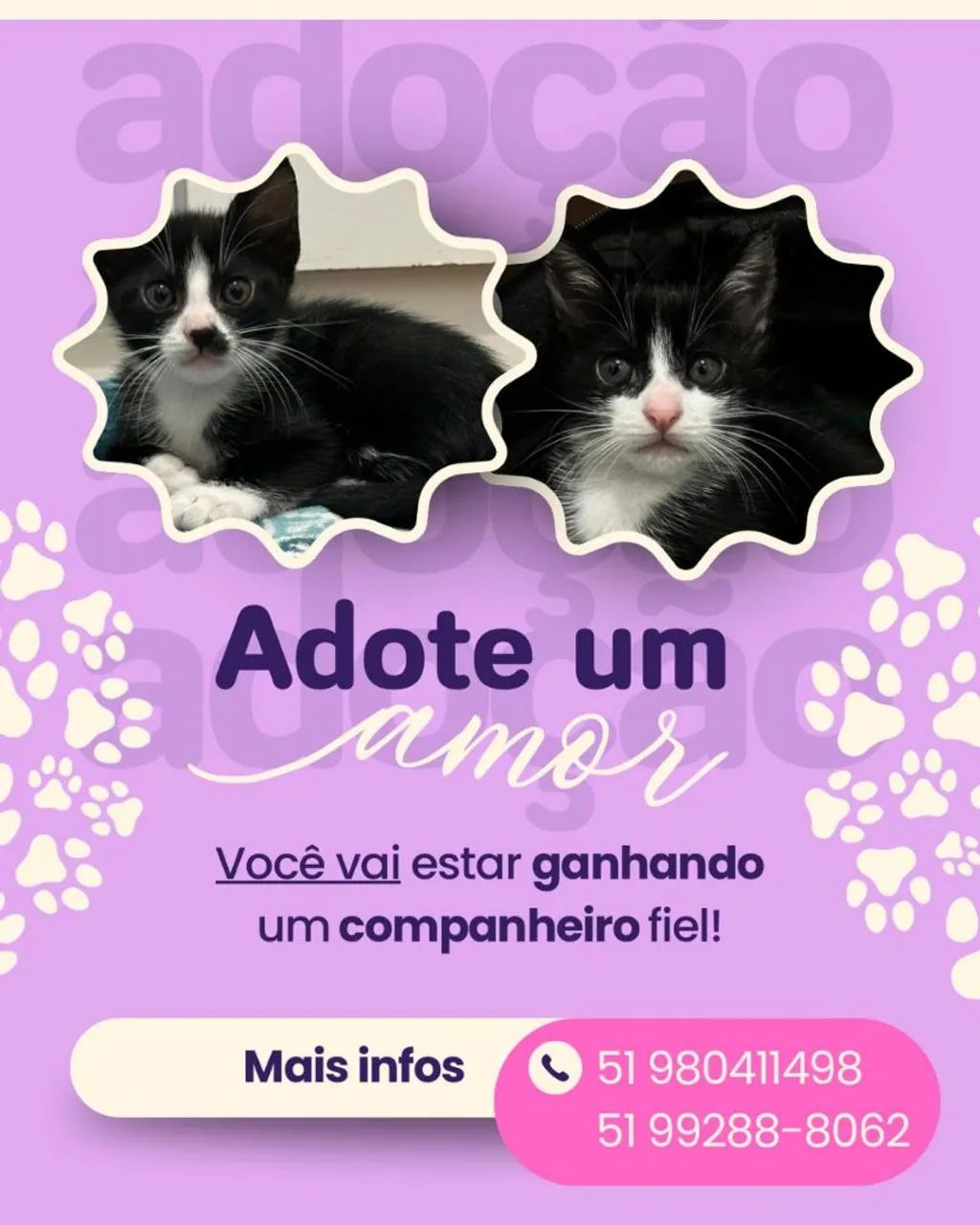 ADOÇÃO RESPONSÁVEL - CANOAS/RS