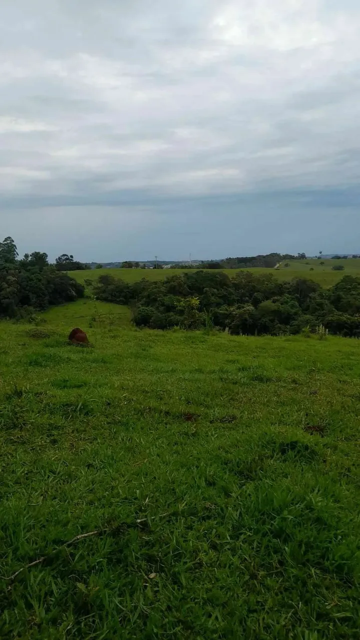 Sítio em Município de Angatuba - Nunes - Angatuba/SP