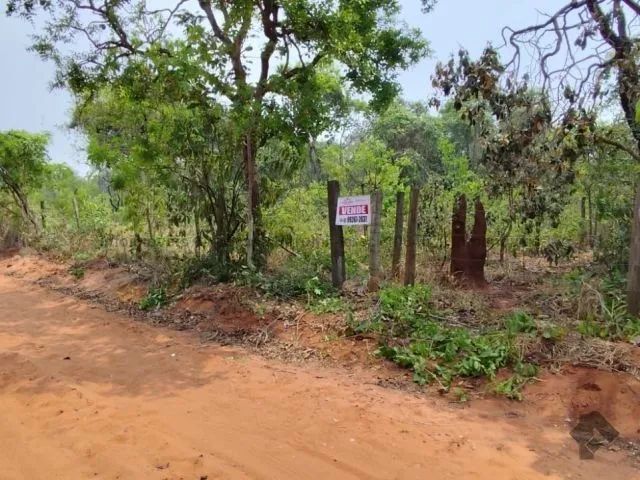 Vendo Chácara 5.000,00 m² na Valorizada Área da Chácara dos Poderes em Campo Grande Ms - Foto 2