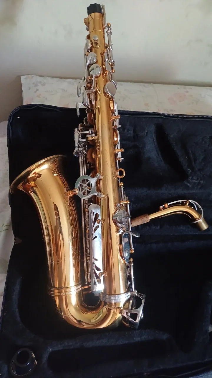 Saxofone Alto MICHAEL WASM49