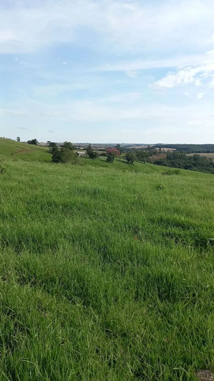 Fazenda  - Foto 2