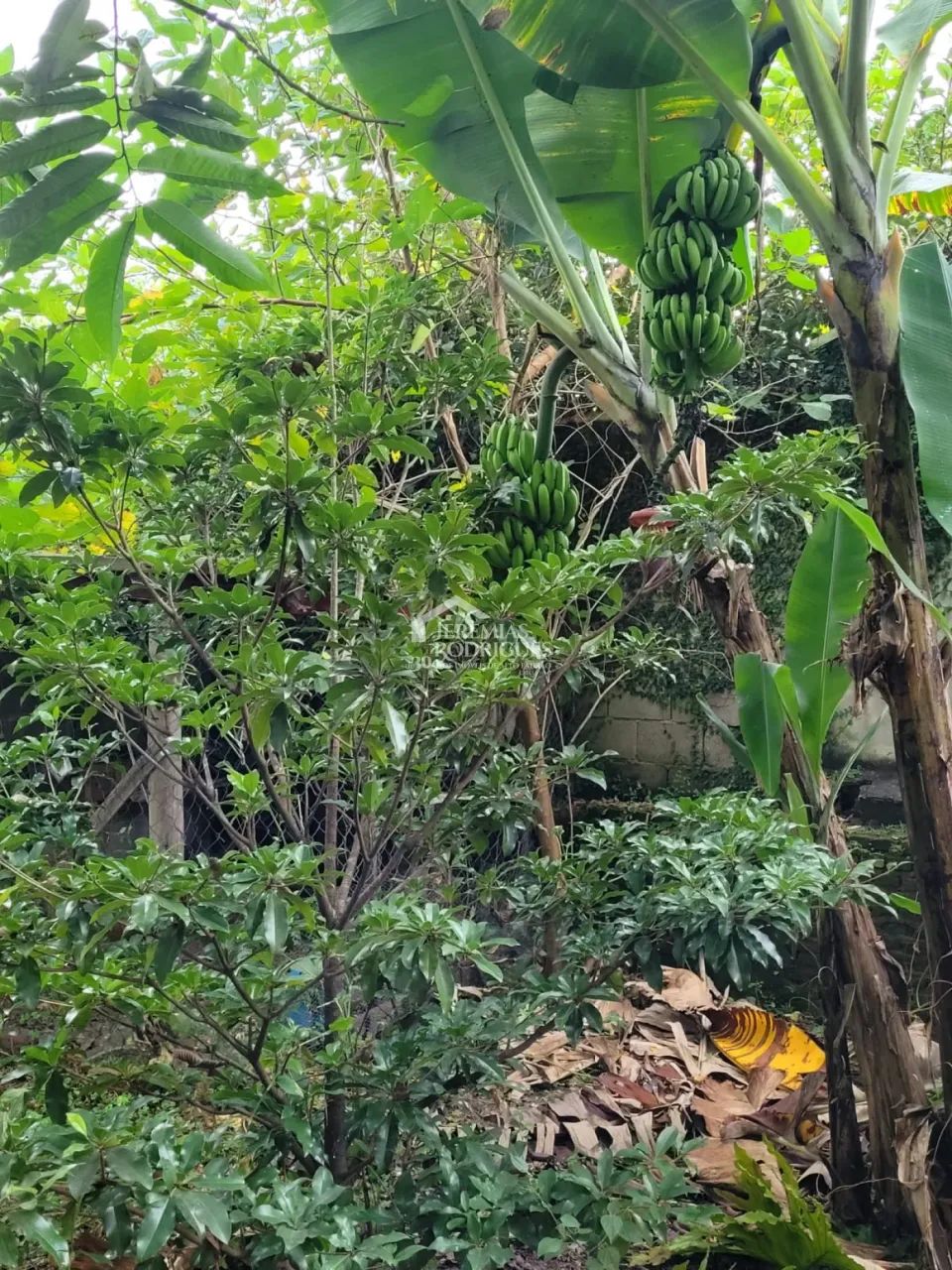 Terreno com 1.200 m² - Condomínio Village Paineiras - Pindamonhangaba/SP. - Foto 4