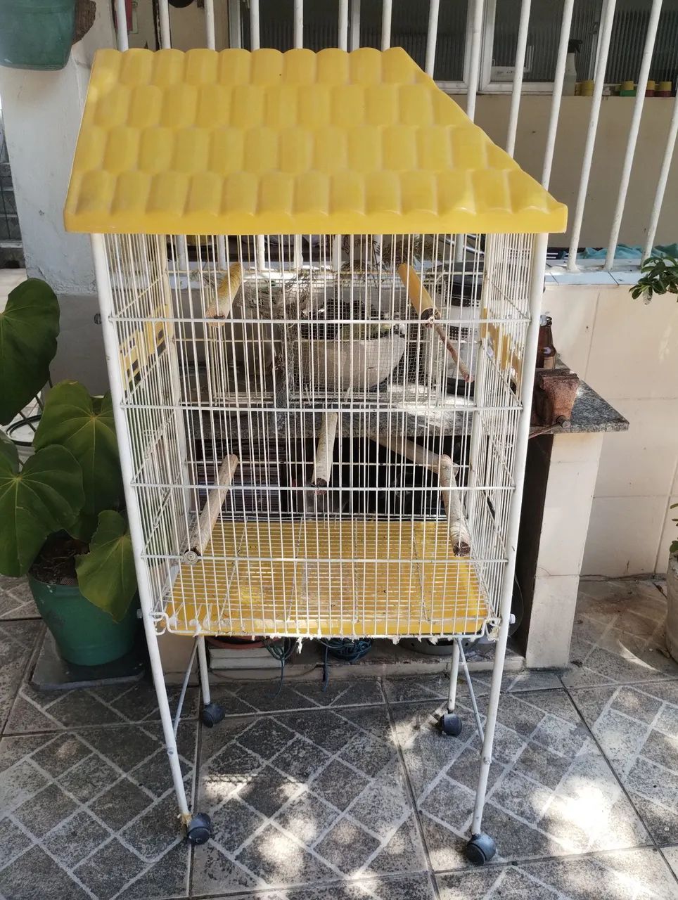 Viveiro para calopsita  - Foto 4