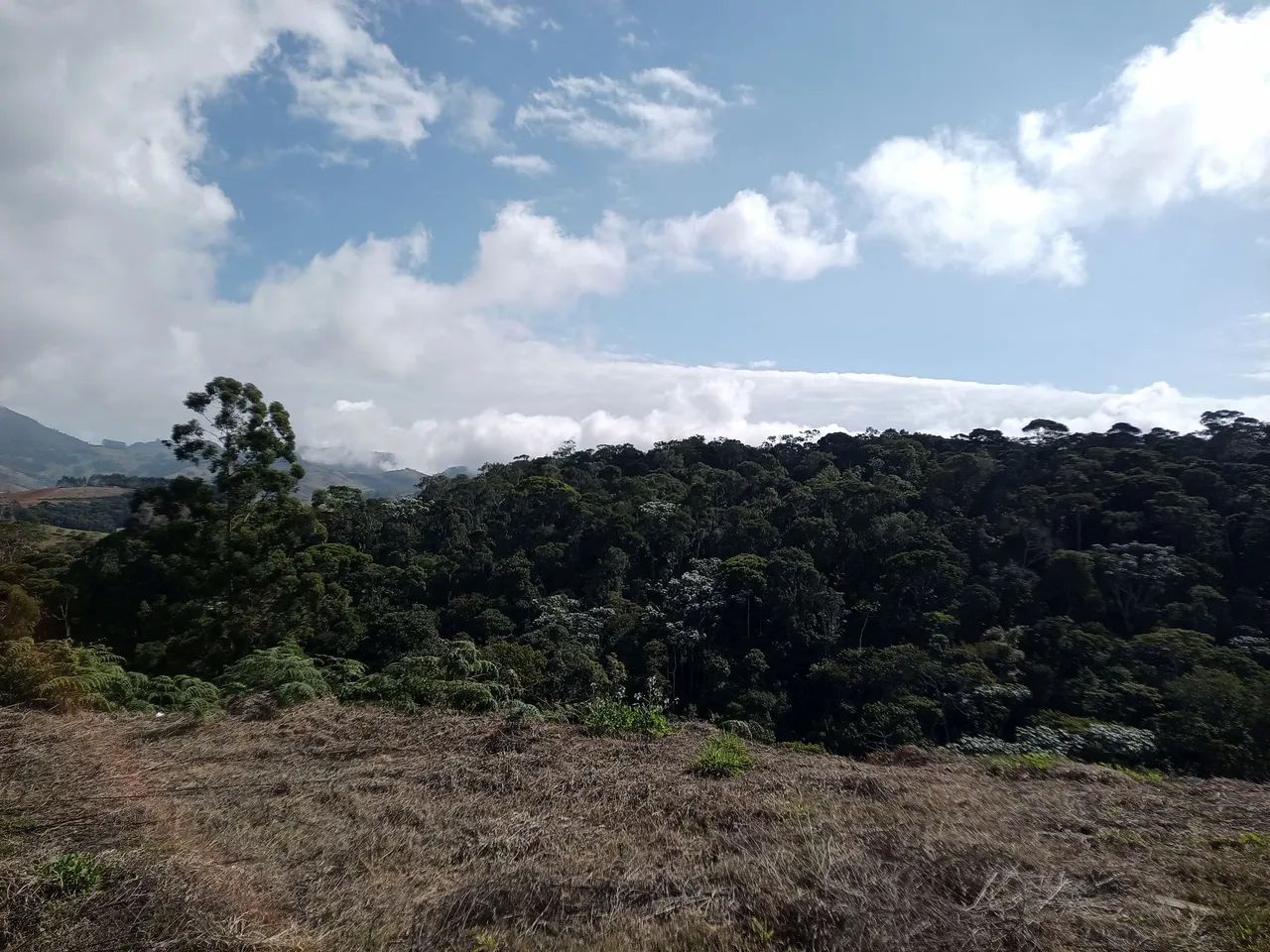 Lote próximo a pedra azul na roça  - Foto 4