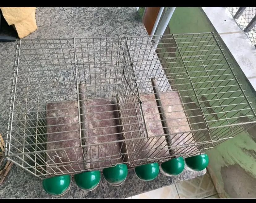 Gaiola de ferro  - Foto 2