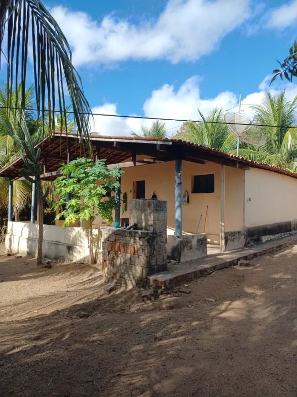 Sítio  - Foto 5
