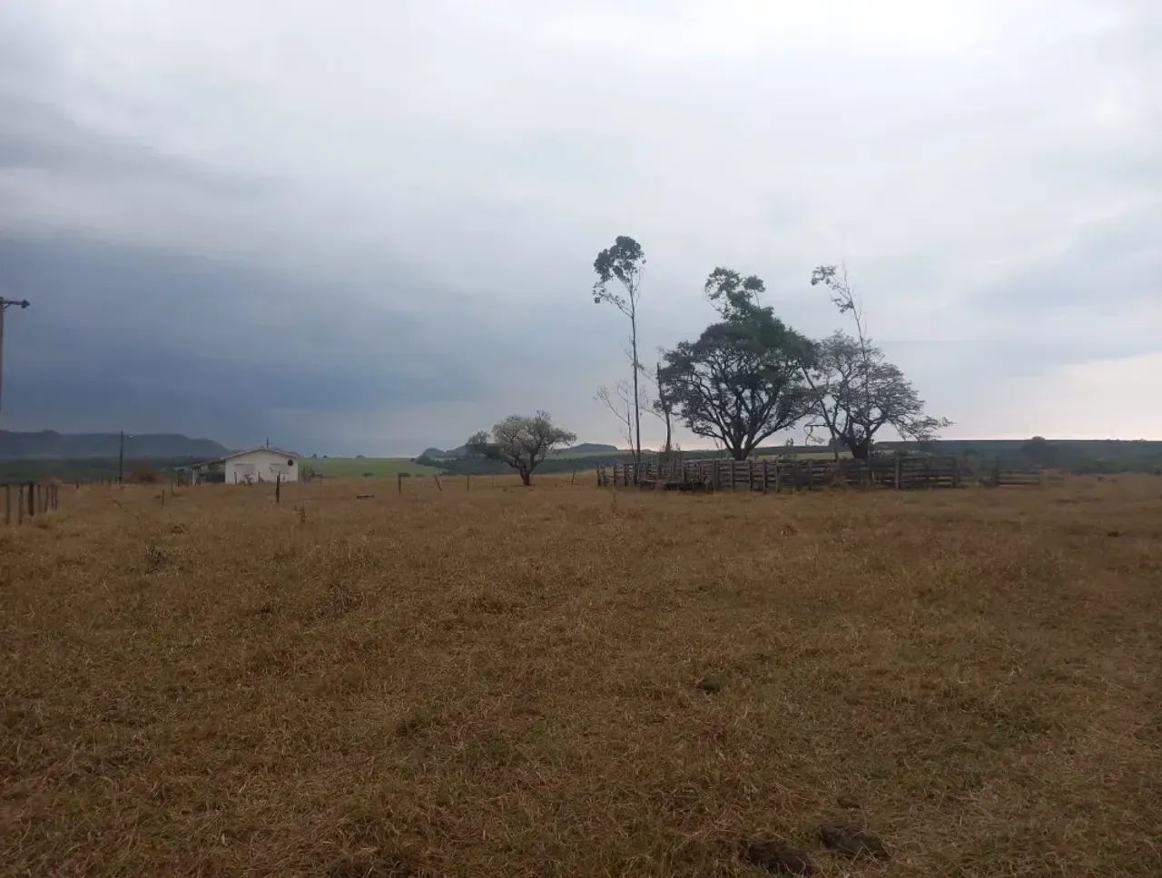 Sítio bom para café ,abacate ,grãos - Foto 2