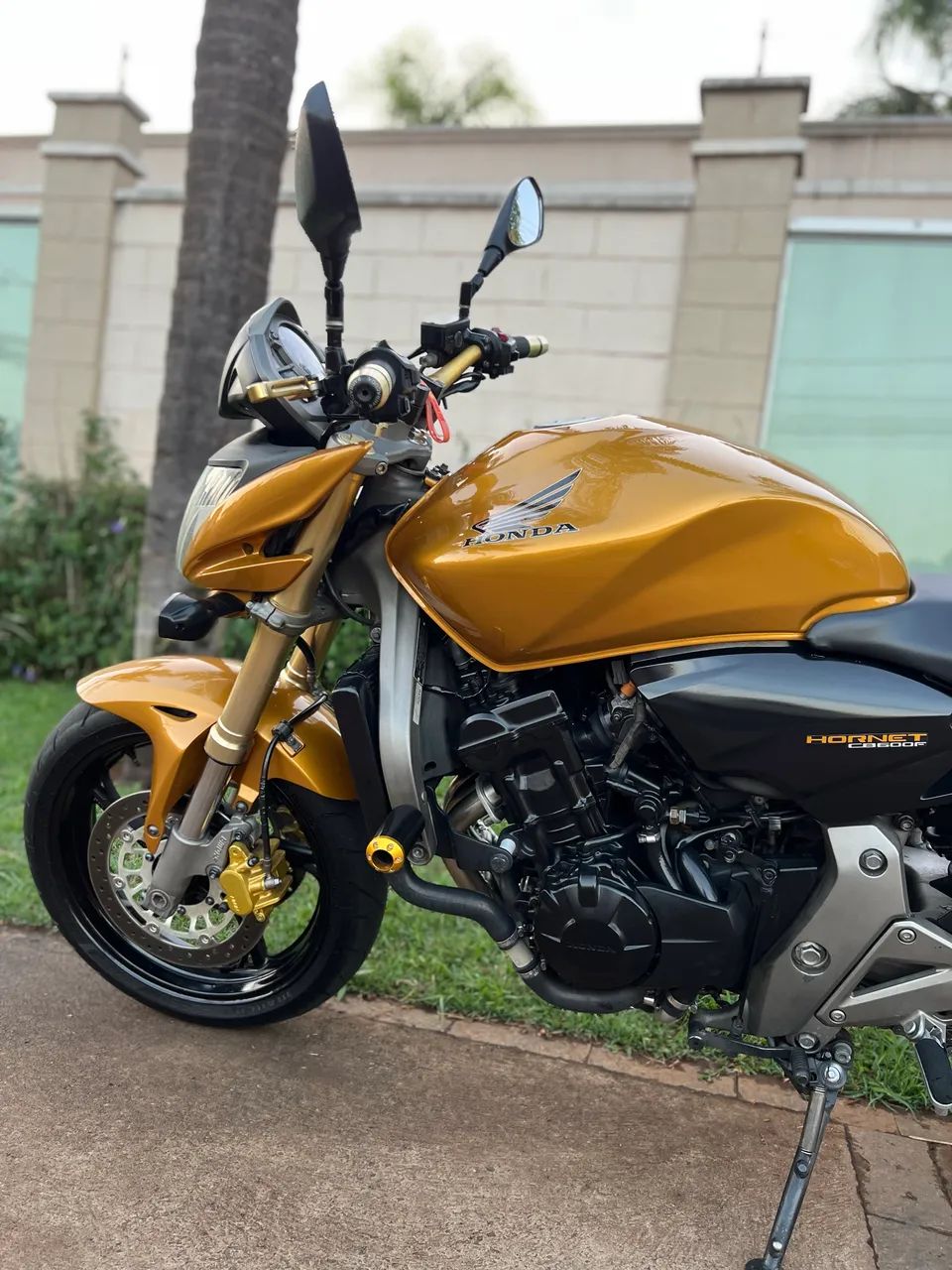 Hornet  - Foto 4