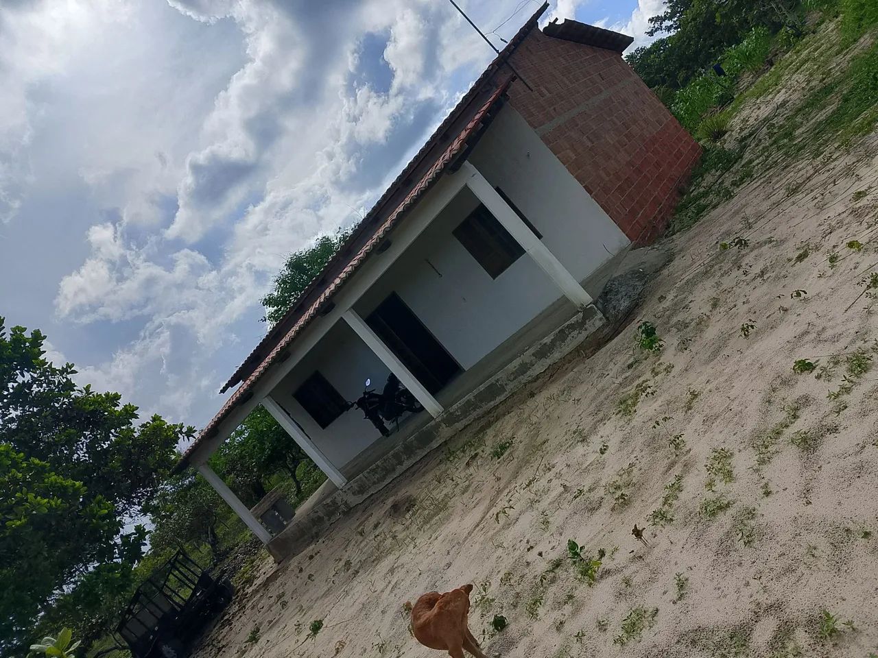 Vendo ou troco sítio em trairi  - Foto 2