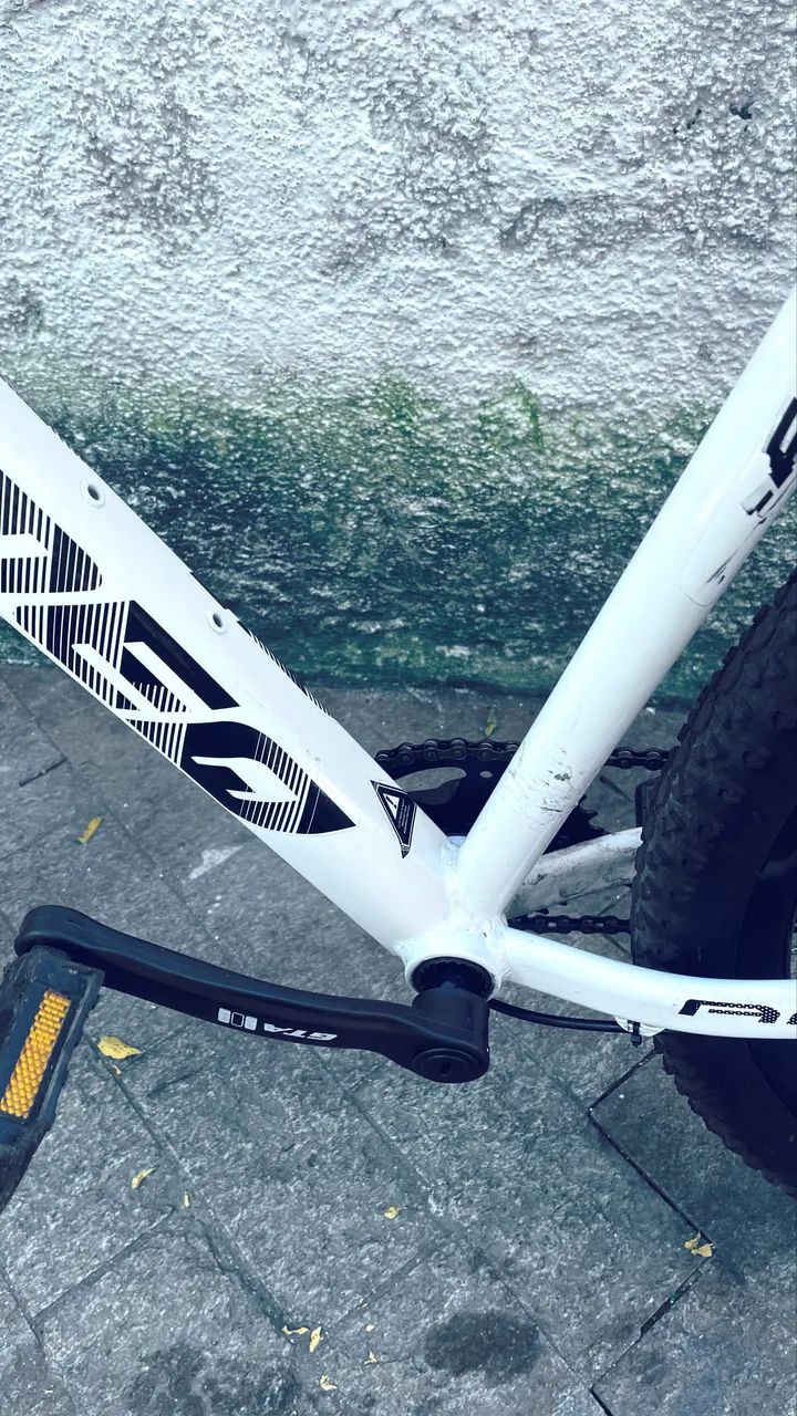 BIKE ALFAMEQ ARO 29 - Foto 3