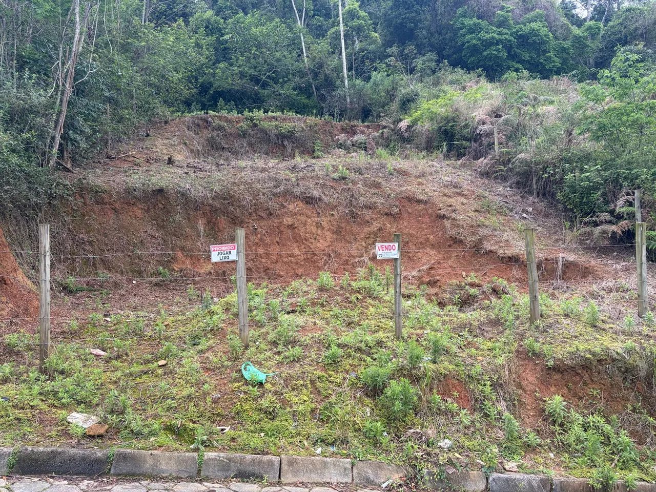 Terreno  - Foto 4