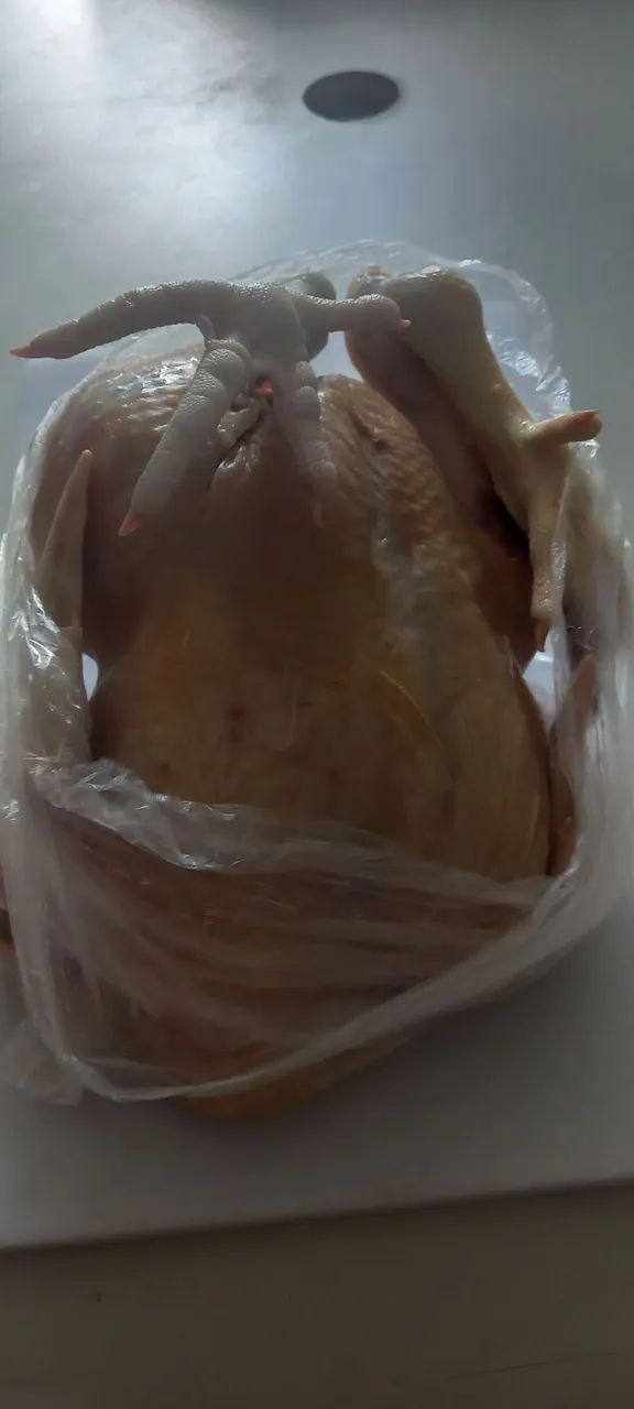 Frango fresco do dia