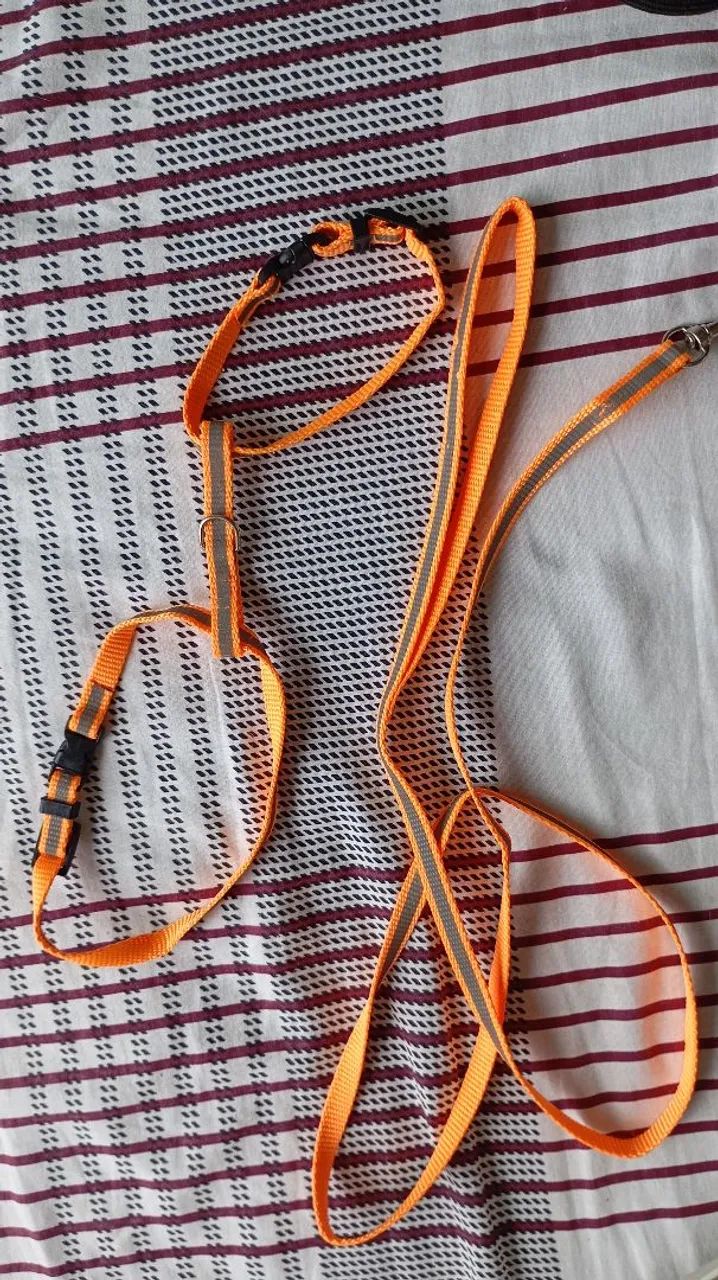 Pet Harness64962123567618123