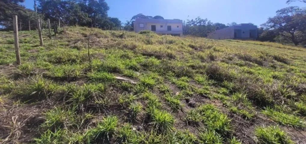 Foto - Pinhalzinho - 