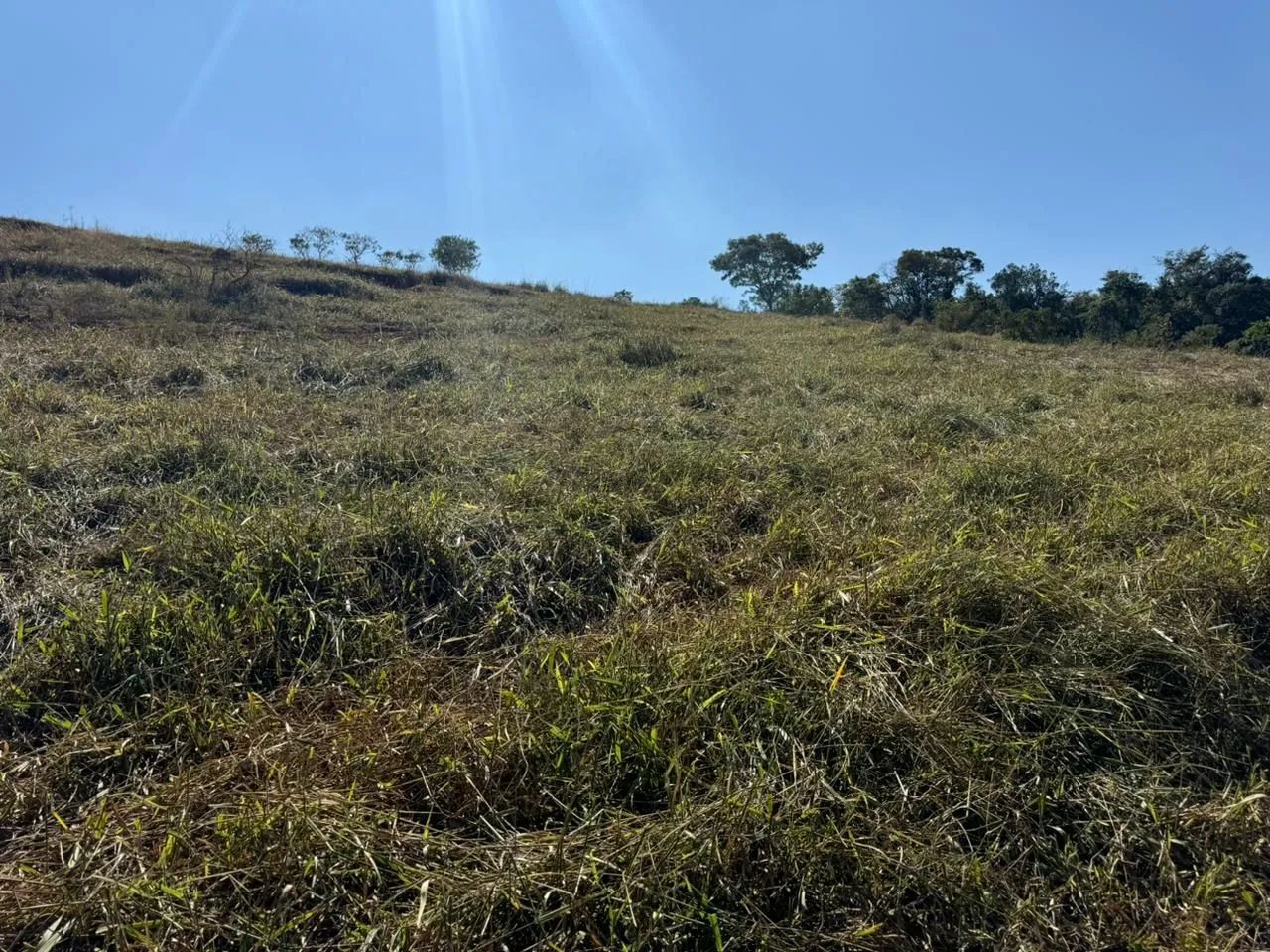 Terreno rural em juatuba  - Foto 3