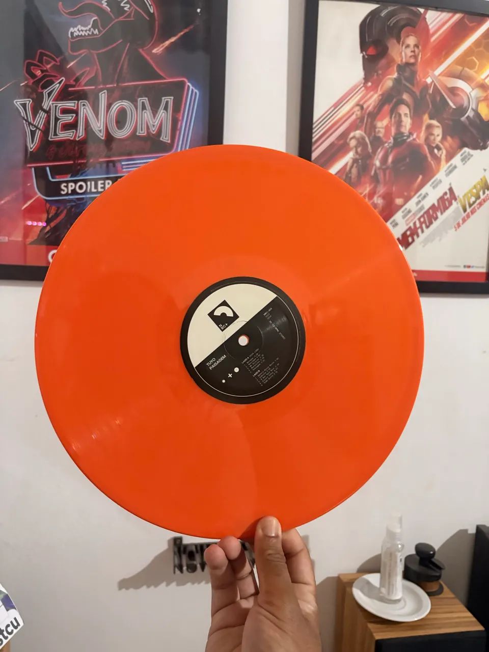 Vinil Paisagem - Tuyo - Foto 4