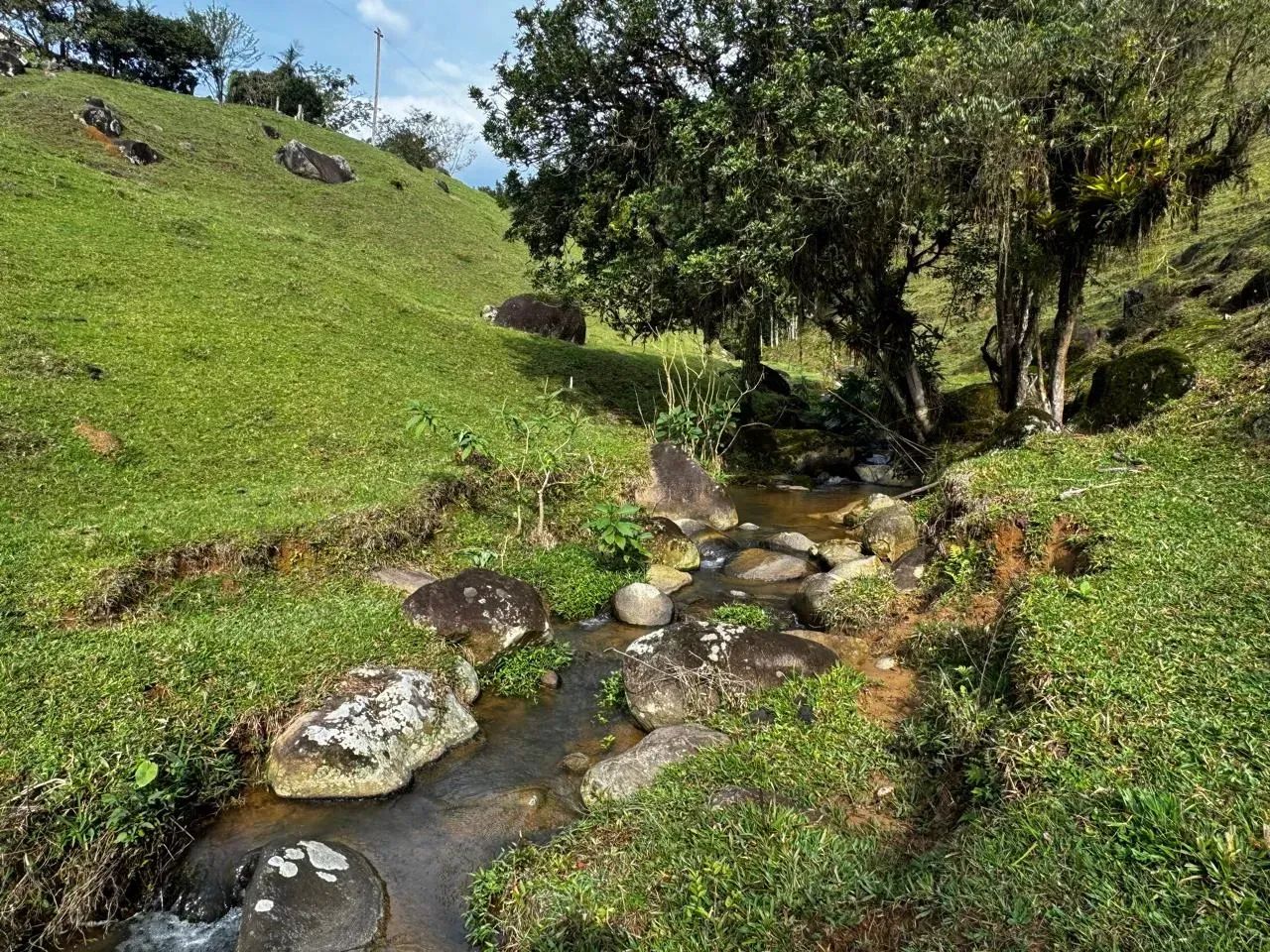 Belo sitio em Águas Mornas - SC - Foto 2
