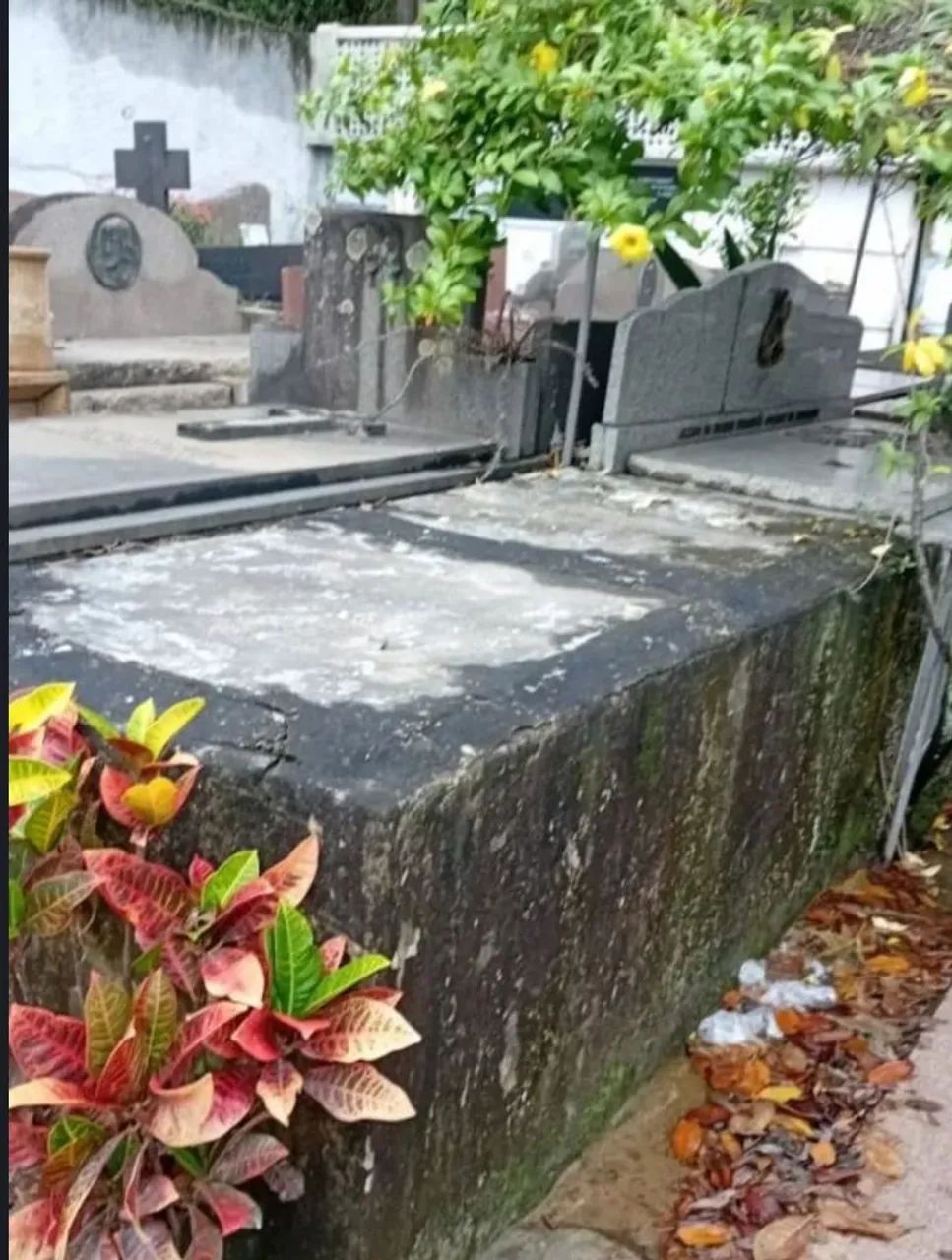 Jazigo barato!!! - Foto 2