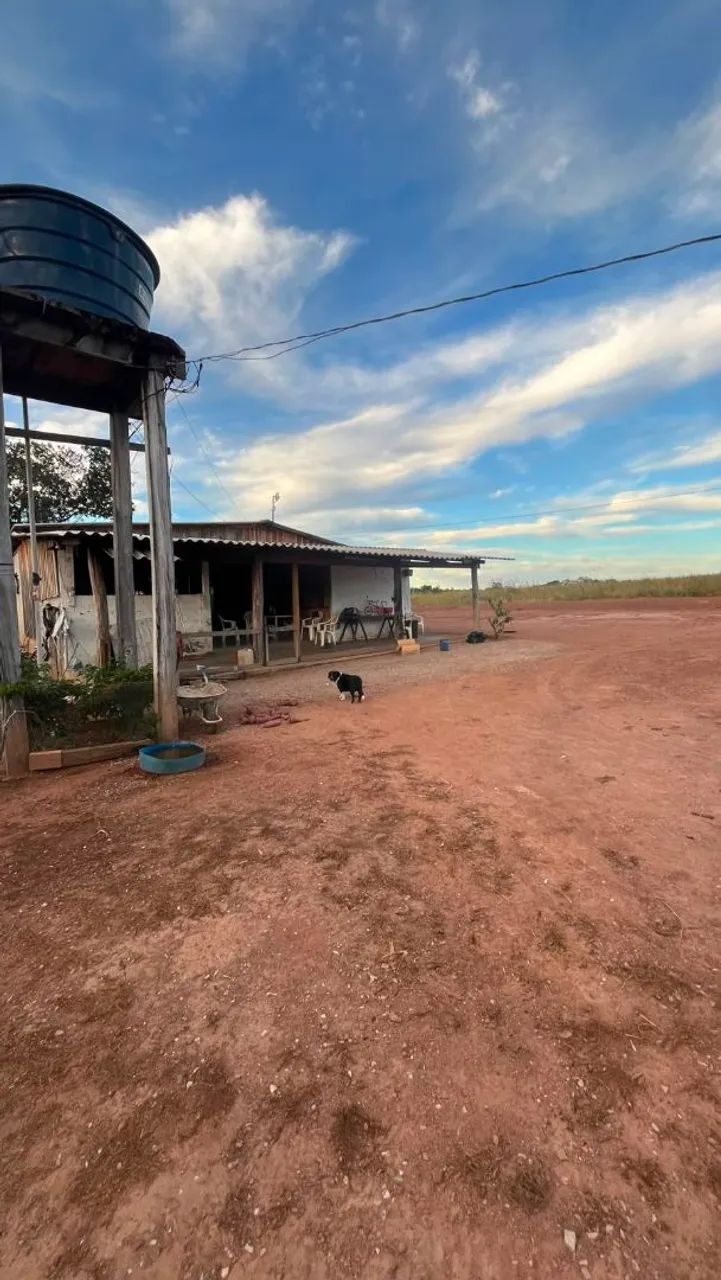 Fazenda 2700 hectares  - Foto 4