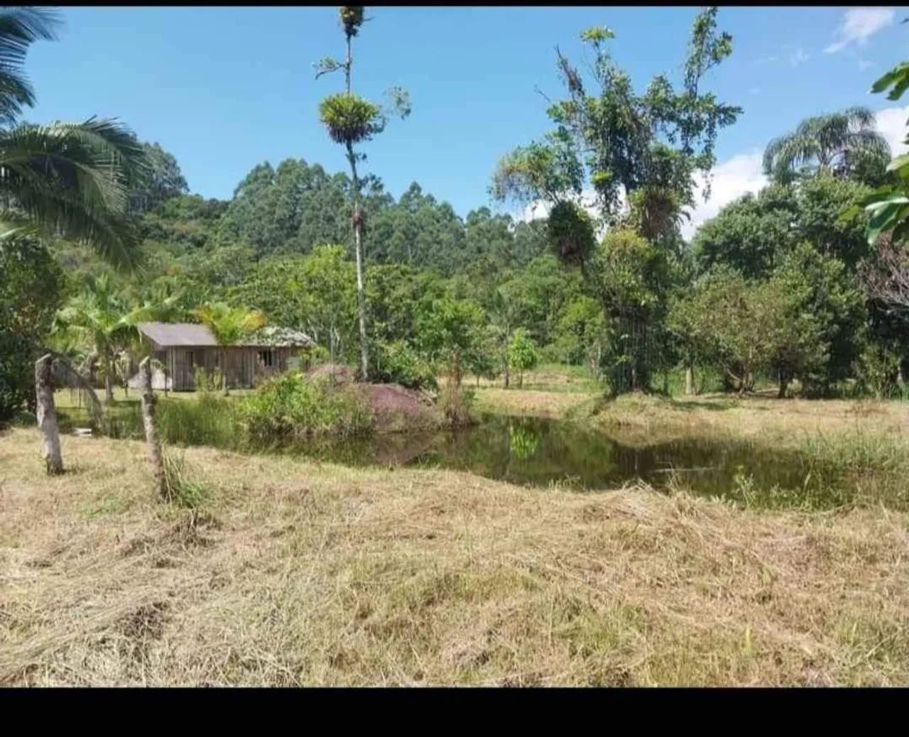 Sitio  - Foto 5