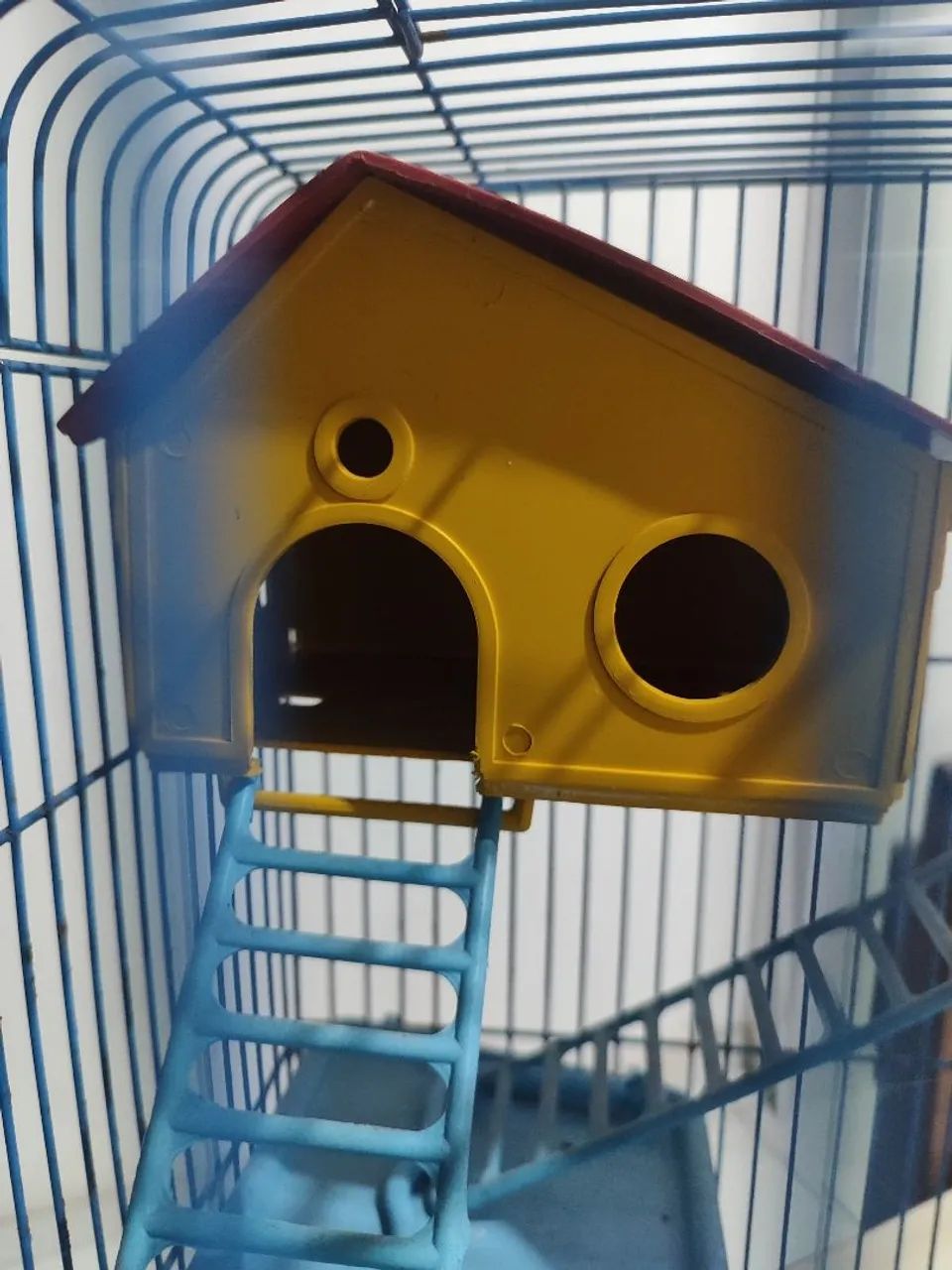 Casa de hamster 441091563172679683
