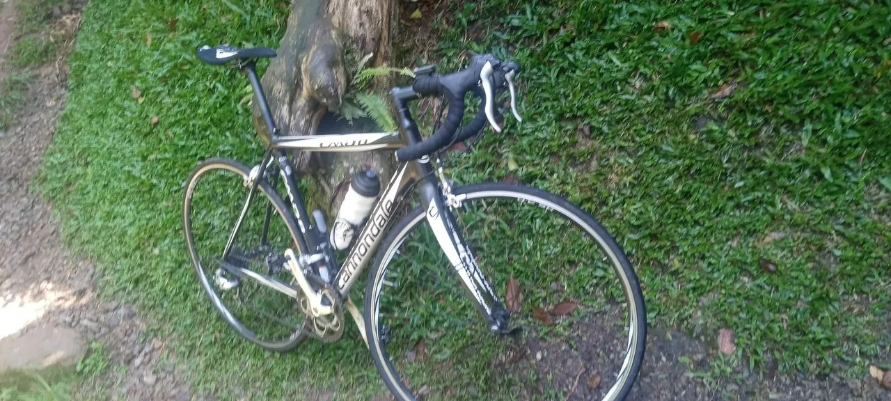 Bike Speed 